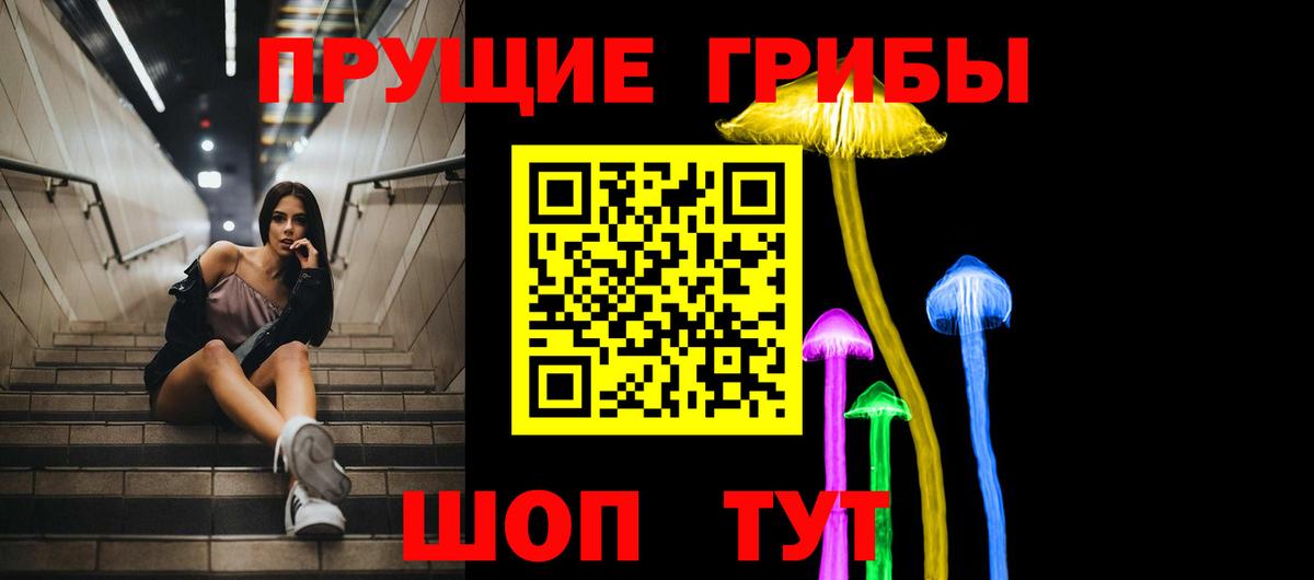 Псилоцибиновые грибы Psilocybe Верхняя Салда